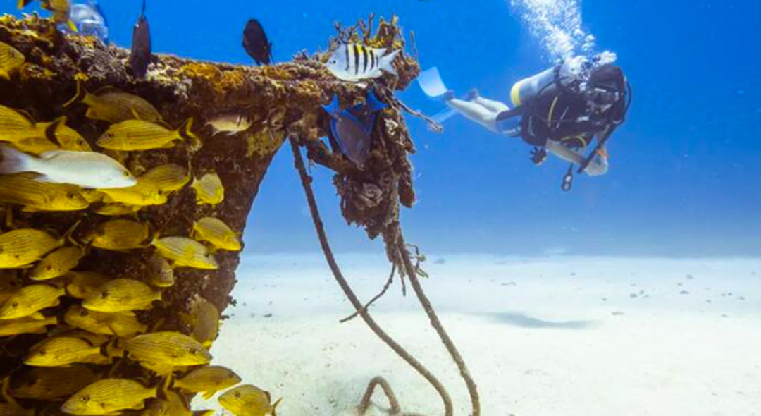 Plongée sous-marine