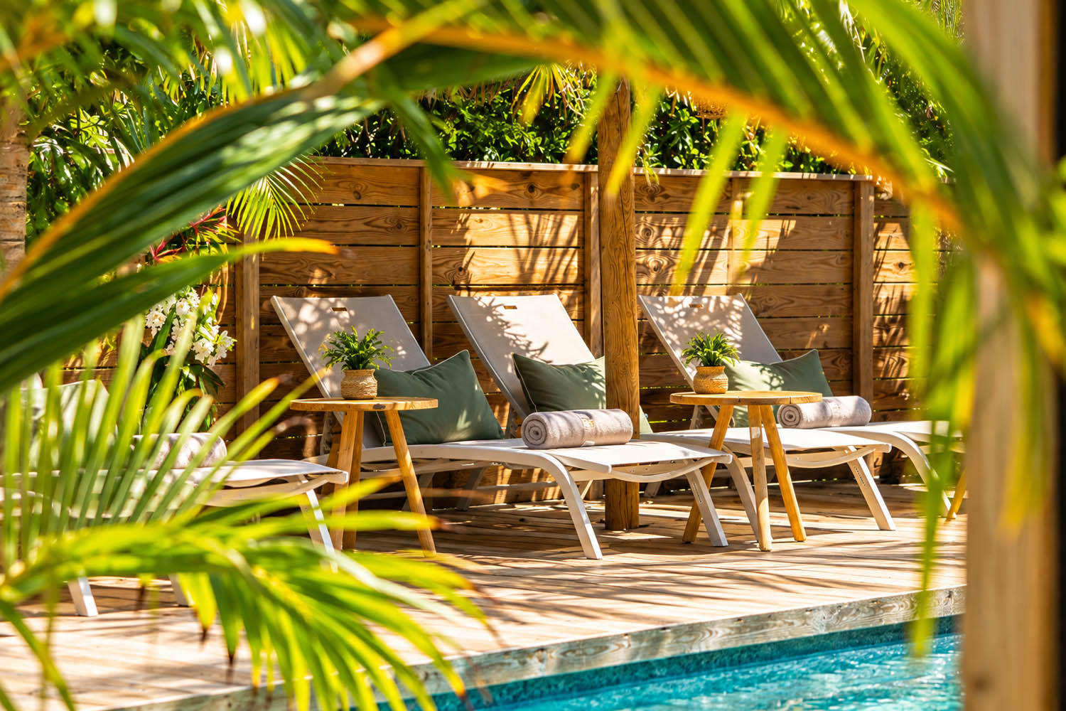 Piscine, The Forest Anse Marcel, Saint-Martin